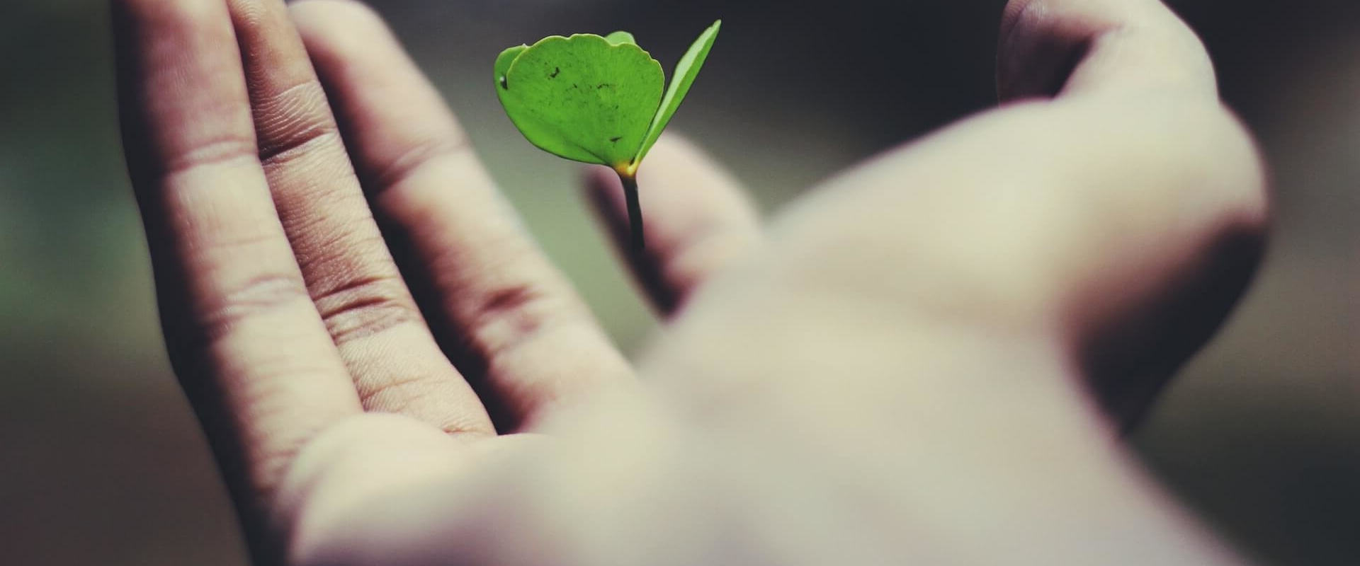 Growth Capital Investment: What is it and How Does it Work?