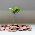 What is the Meaning of Capital Growth?