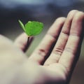Growth Capital Investment: What is it and How Does it Work?