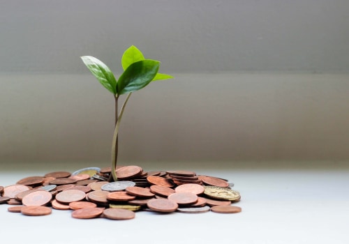 What is the Meaning of Capital Growth?