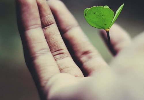 Growth Capital Investment: What is it and How Does it Work?